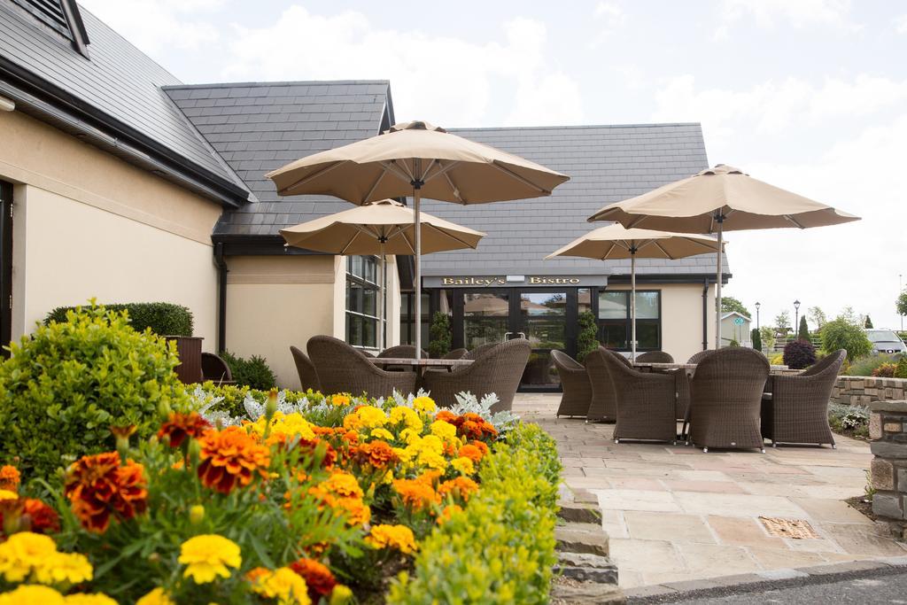 Clanard Court Hotel 4*